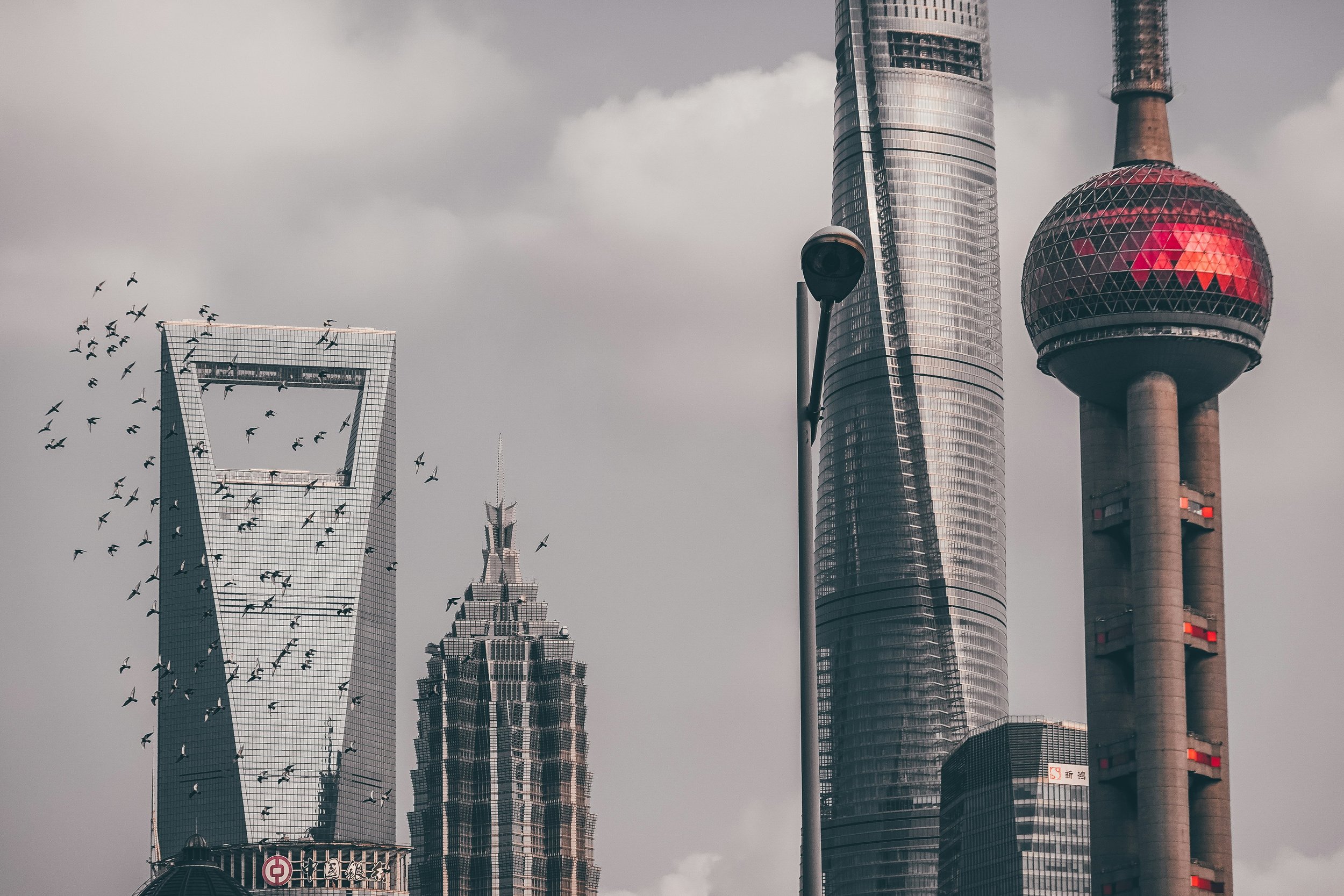 Rise of B2B Marketing in China: Navigating a Dynamic Landscape